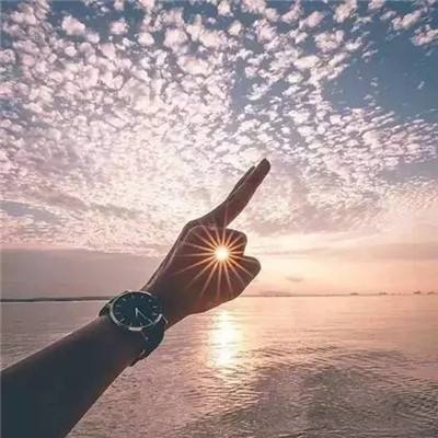 指尖穿梭鸡最新版