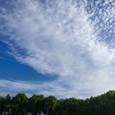 御龙倾天下游戏