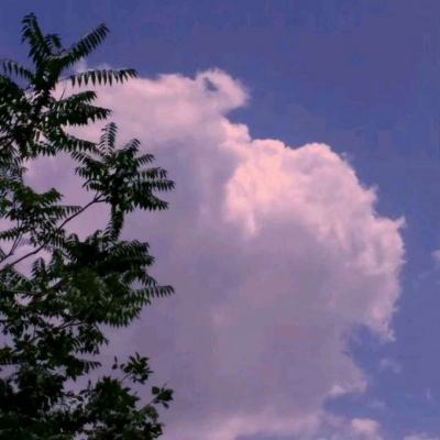 幻境魔灵九游版下载